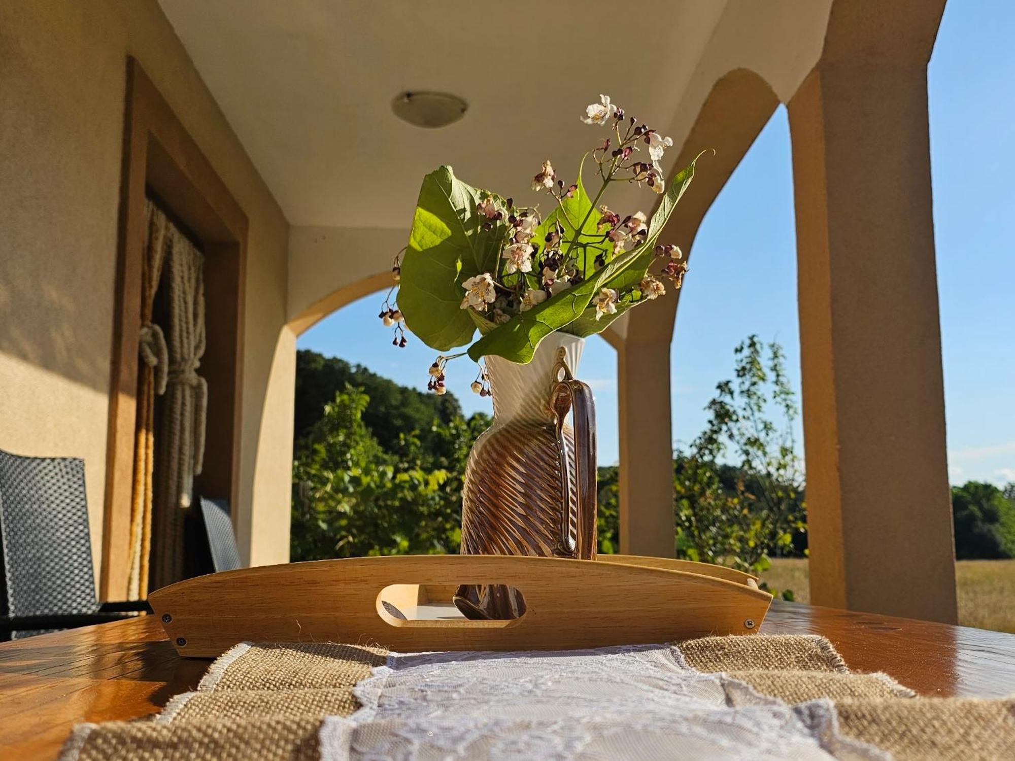 Holiday House And Apartments Vale ดูกาเรซา ภายนอก รูปภาพ